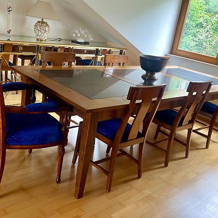 Wunderschoenes Grosses 3 Zimmer Apartament Zentrum Goldstadt Familienfreundlich Mit Garage Пфорцхайм Экстерьер фото