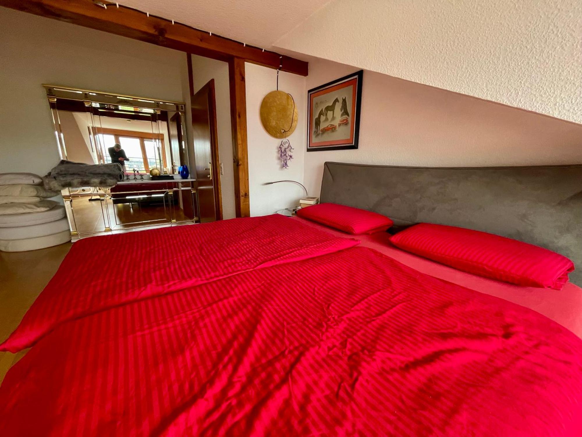 Wunderschoenes Grosses 3 Zimmer Apartament Zentrum Goldstadt Familienfreundlich Mit Garage Пфорцхайм Экстерьер фото