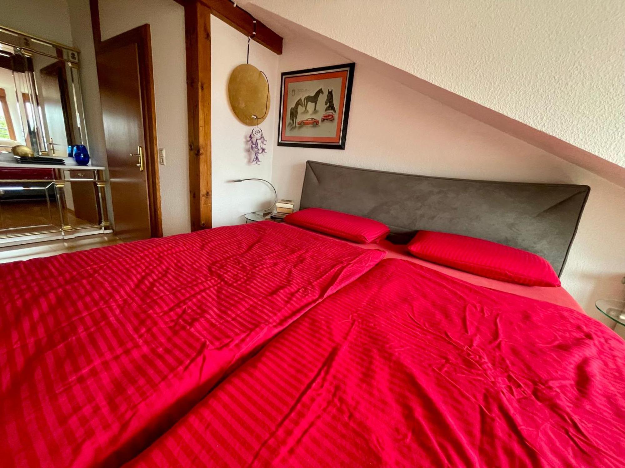 Wunderschoenes Grosses 3 Zimmer Apartament Zentrum Goldstadt Familienfreundlich Mit Garage Пфорцхайм Экстерьер фото